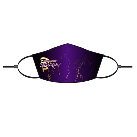 3 layer Face Mask with filter pocket & adjustable loop masks
