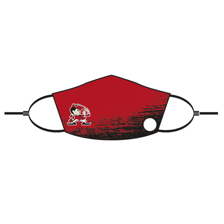 3 layer Face Mask with filter pocket & adjustable loop masks