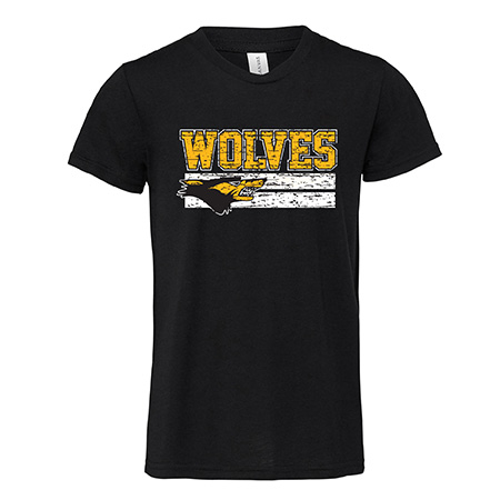 Bella & Canvas Youth Triblend T-shirt